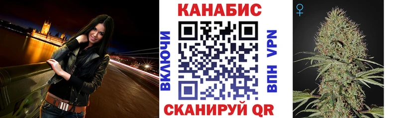 Шишки марихуана VHQ  Купить закладки  Курчалой 